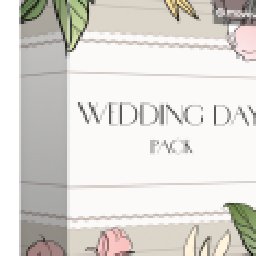 Movavi effect Wedding Day Pack 22% OFF