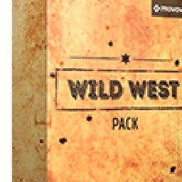 Movavi effect Wild West Pack