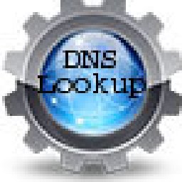 Dns Record Checker Script