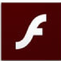 Flash Using Websites Search Script 20% OFF