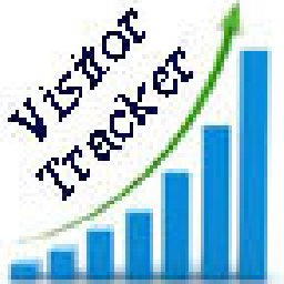 Website Visitor Tracking Script