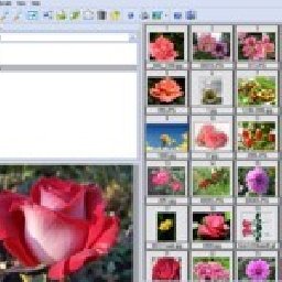 Able Image Browser 31% OFF