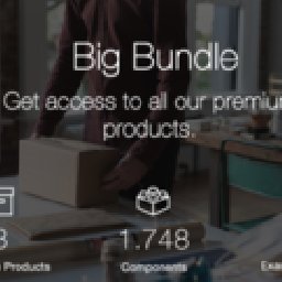 Cyber Monday Big Bundle 30% OFF