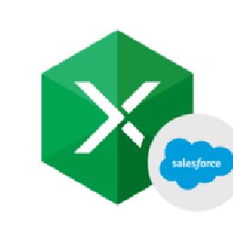 Excel Add-in Salesce