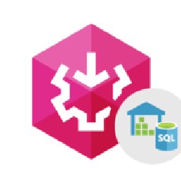 SSIS Data Flow Components Azure SQL Data Warehouse 25% OFF