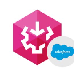 SSIS Data Flow Components Salesce 25% OFF