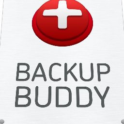 BackupBuddy 40% OFF