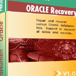 DataNumen Oracle Recovery 20% OFF