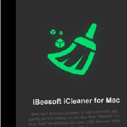 IBeesoft iCleaner 78% OFF