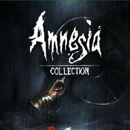 Amnesia Collection