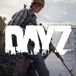 DayZ PC