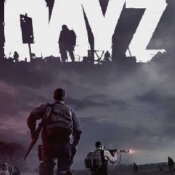 DayZ