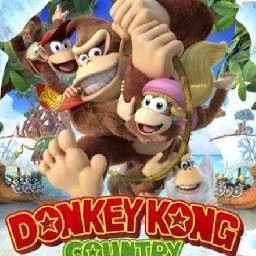 Donkey Kong Country