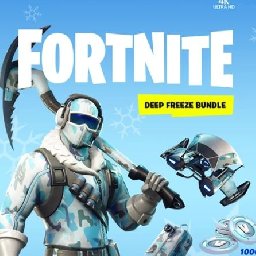 Fortnite Deep Freeze Bundle 10% OFF