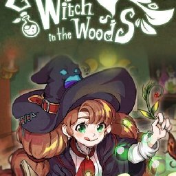 Little Witch in the Woods PC