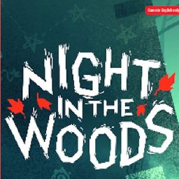 Night in the Woods Switch