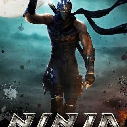 NINJA GAIDEN