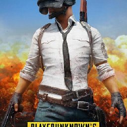 PlayerUnknowns Battlegrounds 24% OFF