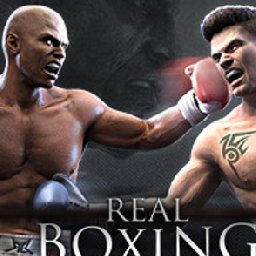 Real Boxing PC