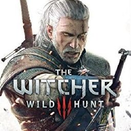 The Witcher 74% OFF