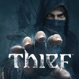 Thief 18% OFF