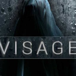 Visage PC