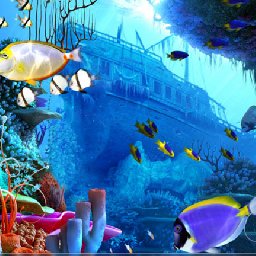 3PlaneSoft Coral Reef 3D Screensaver 11% OFF