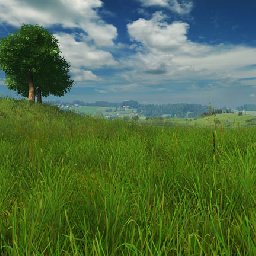 3PlaneSoft Grassland 3D Screensaver 11% OFF