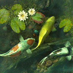 3PlaneSoft Koi Pond 11% OFF