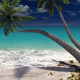 3PlaneSoft Sandy Beach 3D Screensaver 11% OFF