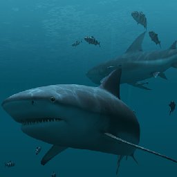 3PlaneSoft Sharks 3D Screensaver 11% OFF