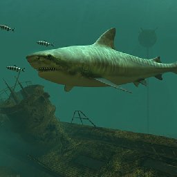 3PlaneSoft Tiger Sharks 3D Screensaver 11% OFF