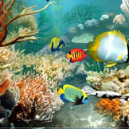 3PlaneSoft Tropical Fish 3D Screensaver