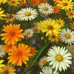 3PlaneSoft Wildflowers 3D Screensaver 11% OFF