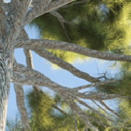 The3dGarden Mediterranean Pine Trees Collection Vol. 10% OFF