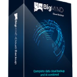 BigMIND 42% OFF