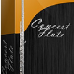 Concert Flute 50% OFF