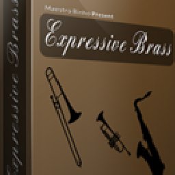 Expressive Brass 50% OFF