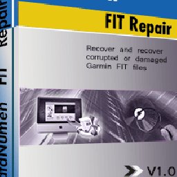 DataNumen FIT Repair Coupons