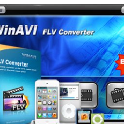 WinAVI FLV Converter 51% OFF