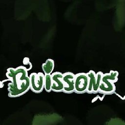 Buissons PC 62% OFF