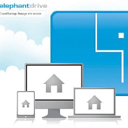 ElephantDrive 30% OFF