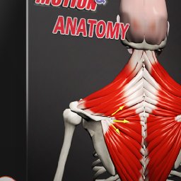 Muscle Motion Anatomy 82% OFF